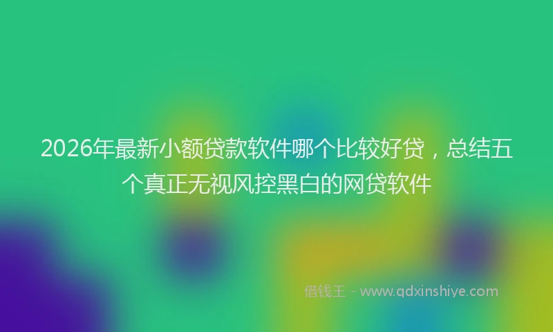 2026年最新小额贷款软件哪个比较好贷，总结五个真正无视风控黑白的网贷软件