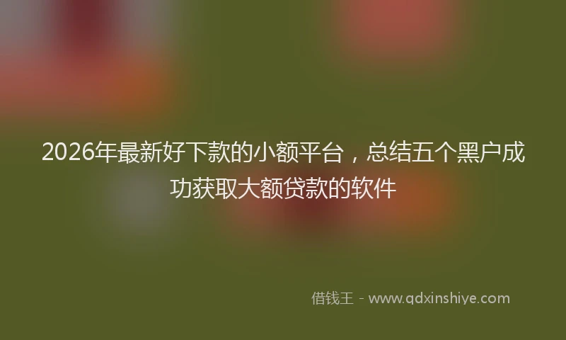 2026年最新好下款的小额平台，总结五个黑户成功获取大额贷款的软件