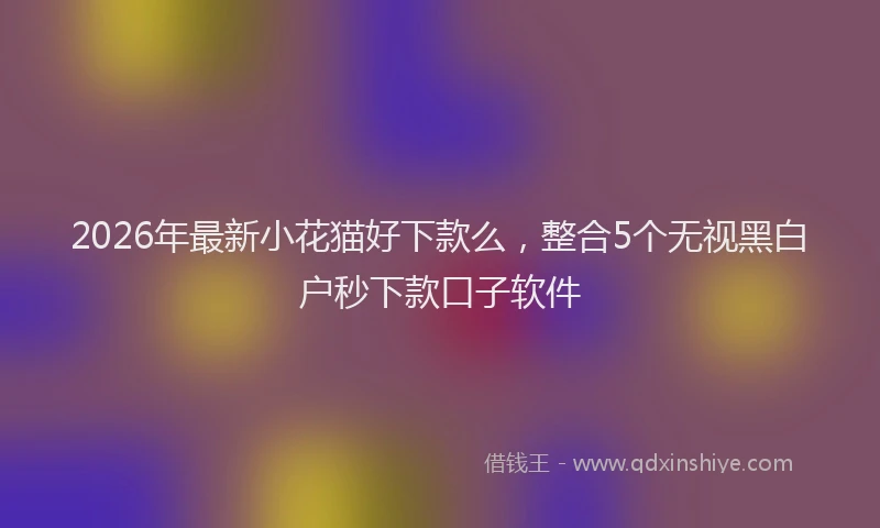 2026年最新小花猫好下款么，整合5个无视黑白户秒下款口子软件