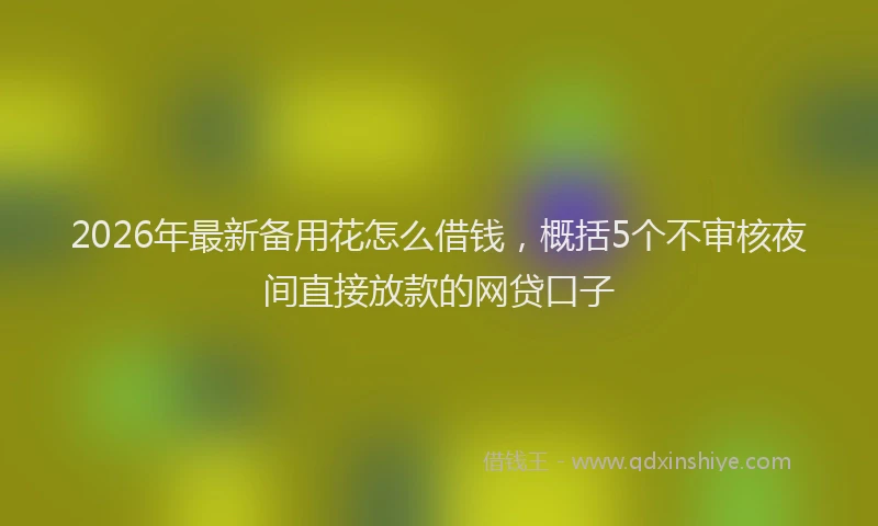 2026年最新备用花怎么借钱，概括5个不审核夜间直接放款的网贷口子