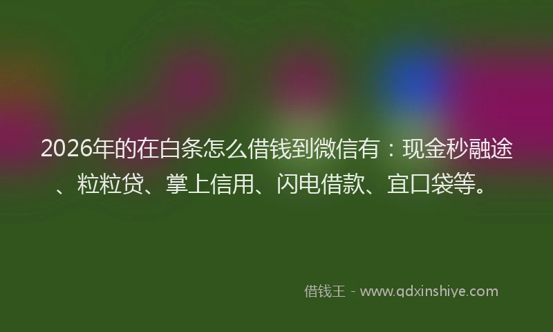 2026年的在白条怎么借钱到微信有:现金秒融途、粒粒贷、掌上信用、闪电借款、宜口袋等。