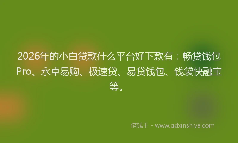 2026年的小白贷款什么平台好下款有：畅贷钱包Pro、永卓易购、极速贷、易贷钱包、钱袋快融宝等。