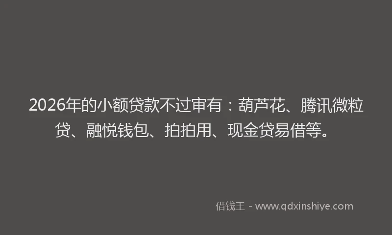 2026年的小额贷款不过审有：葫芦花、腾讯微粒贷、融悦钱包、拍拍用、现金贷易借等。