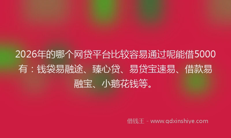 2026年的哪个网贷平台比较容易通过呢能借5000有:钱袋易融途、臻心贷、易贷宝速易、借款易融宝、小鹅花钱等。