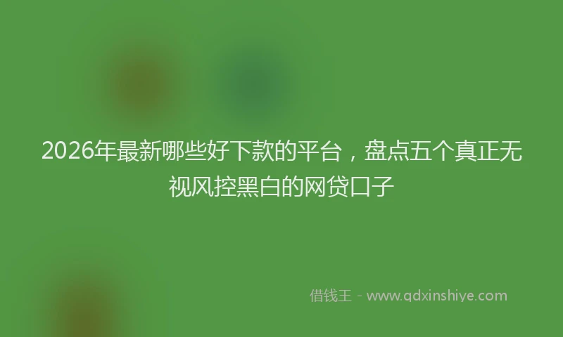 2026年最新哪些好下款的平台，盘点五个真正无视风控黑白的网贷口子