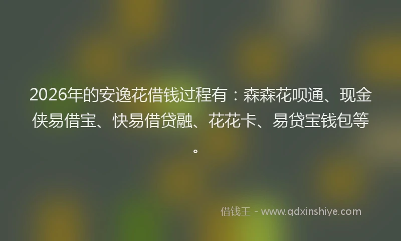 2026年的安逸花借钱过程有：森森花呗通、现金侠易借宝、快易借贷融、花花卡、易贷宝钱包等。