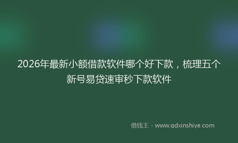 2026年最新小额借款软件哪个好下款，梳理五个新号易贷速审秒下款软件