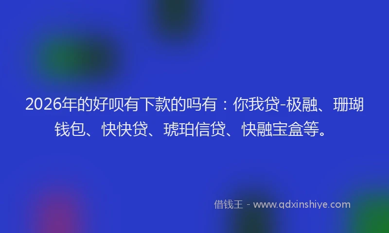 2026年的好呗有下款的吗有：你我贷-极融、珊瑚钱包、快快贷、琥珀信贷、快融宝盒等。