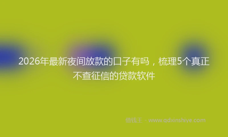 2026年最新夜间放款的口子有吗，梳理5个真正不查征信的贷款软件