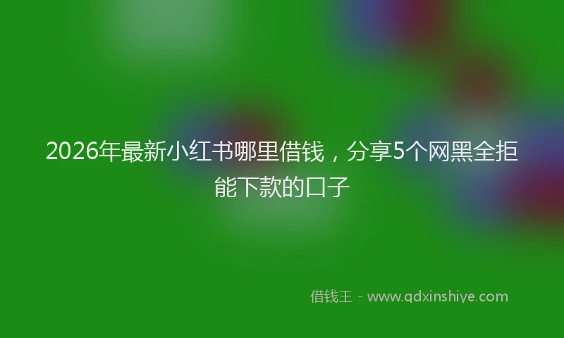 2026年最新小红书哪里借钱，分享5个网黑全拒能下款的口子