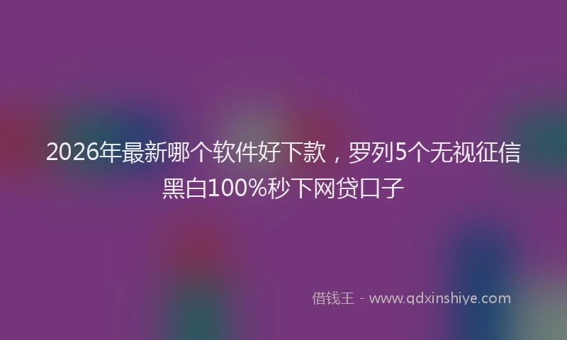 2026年最新哪个软件好下款，罗列5个无视征信黑白100%秒下网贷口子