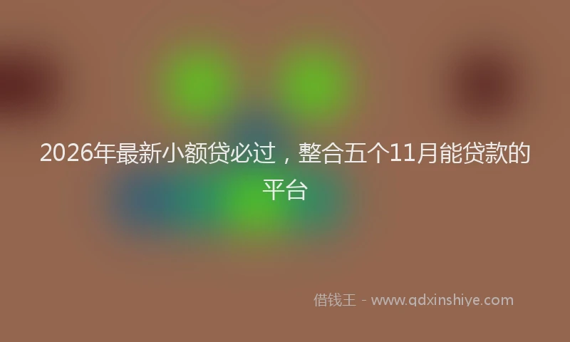 2026年最新小额贷必过，整合五个11月能贷款的平台