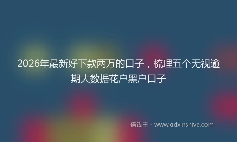 2026年最新好下款两万的口子，梳理五个无视逾期大数据花户黑户口子