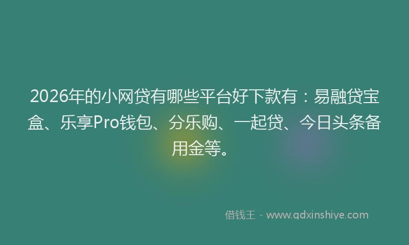 2026年的小网贷有哪些平台好下款有：易融贷宝盒、乐享Pro钱包、分乐购、一起贷、今日头条备用金等。