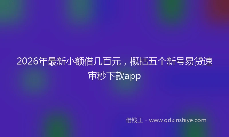 2026年最新小额借几百元，概括五个新号易贷速审秒下款app