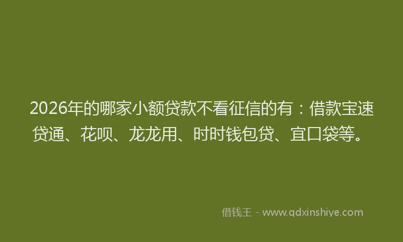 2026年的哪家小额贷款不看征信的有：借款宝速贷通、花呗、龙龙用、时时钱包贷、宜口袋等。