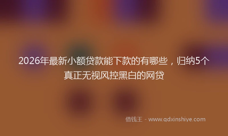 2026年最新小额贷款能下款的有哪些，归纳5个真正无视风控黑白的网贷