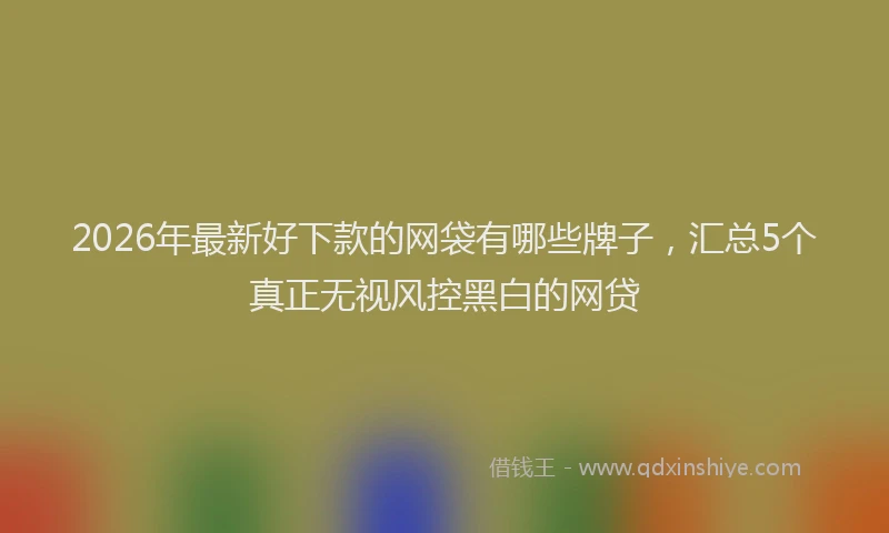 2026年最新好下款的网袋有哪些牌子，汇总5个真正无视风控黑白的网贷