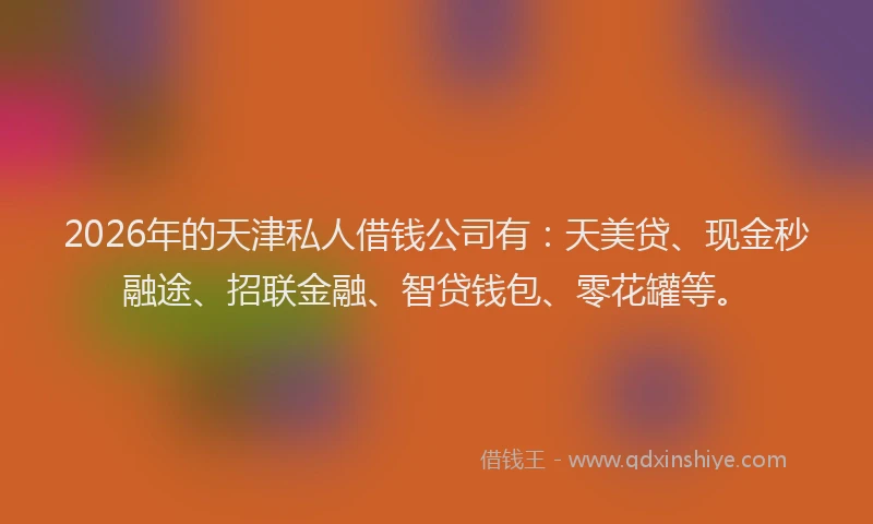 2026年的天津私人借钱公司有：天美贷、现金秒融途、招联金融、智贷钱包、零花罐等。