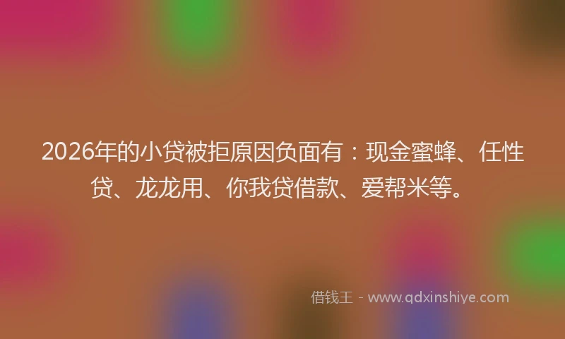 2026年的小贷被拒原因负面有：现金蜜蜂、任性贷、龙龙用、你我贷借款、爱帮米等。