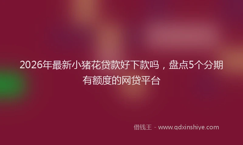 2026年最新小猪花贷款好下款吗，盘点5个分期有额度的网贷平台