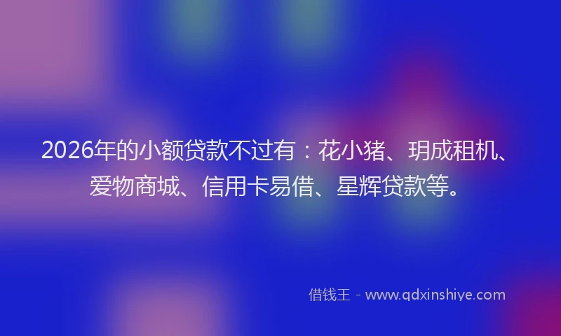 2026年的小额贷款不过有：花小猪、玥成租机、爱物商城、信用卡易借、星辉贷款等。