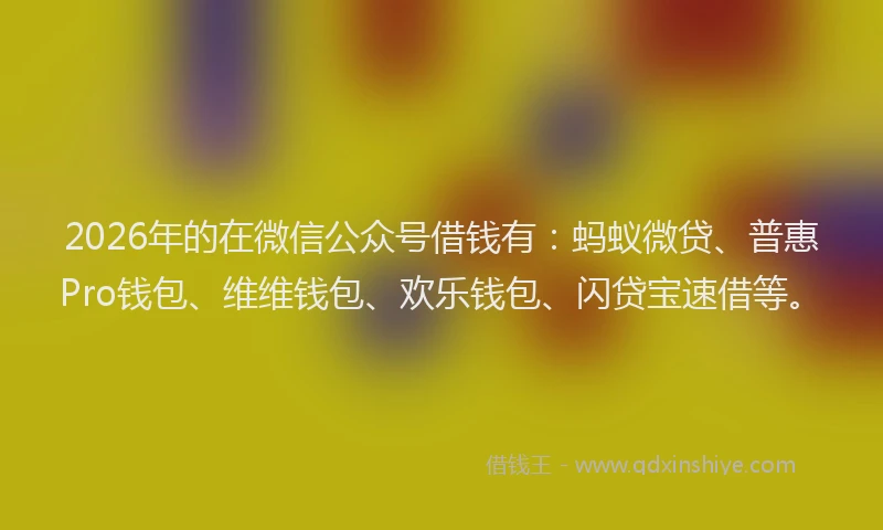 2026年的在微信公众号借钱有：蚂蚁微贷、普惠Pro钱包、维维钱包、欢乐钱包、闪贷宝速借等。