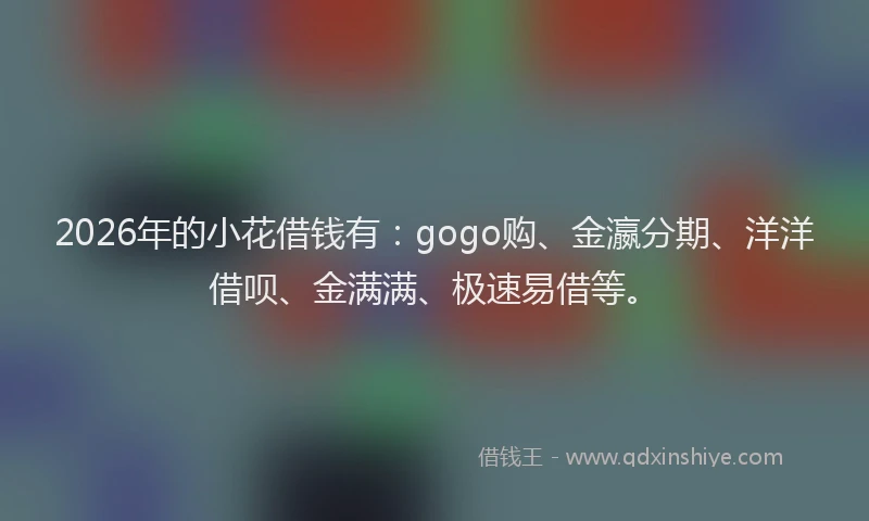 2026年的小花借钱有：gogo购、金瀛分期、洋洋借呗、金满满、极速易借等。