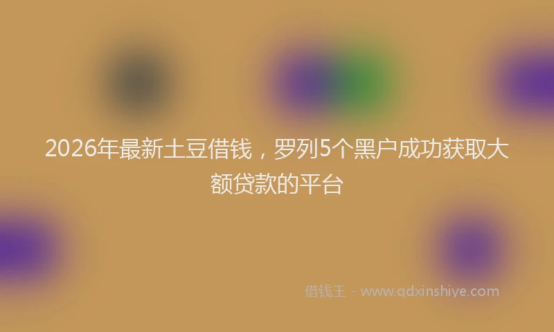 2026年最新土豆借钱，罗列5个黑户成功获取大额贷款的平台