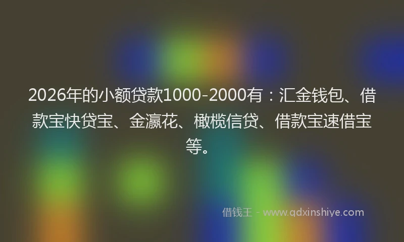 2026年的小额贷款1000-2000有：汇金钱包、借款宝快贷宝、金瀛花、橄榄信贷、借款宝速借宝等。