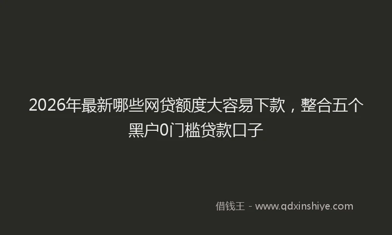 2026年最新哪些网贷额度大容易下款，整合五个黑户0门槛贷款口子