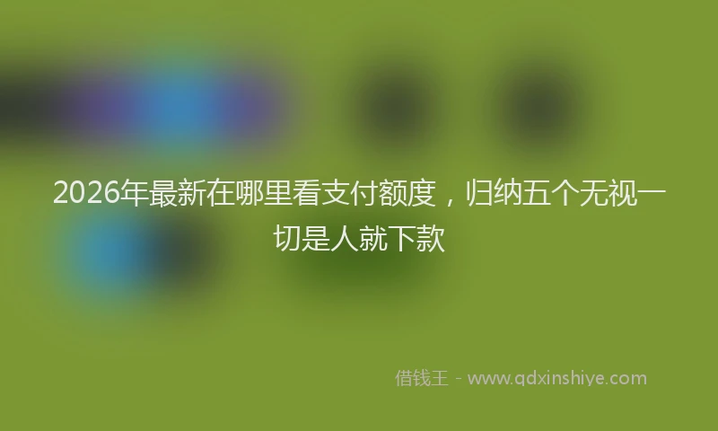 2026年最新在哪里看支付额度，归纳五个无视一切是人就下款