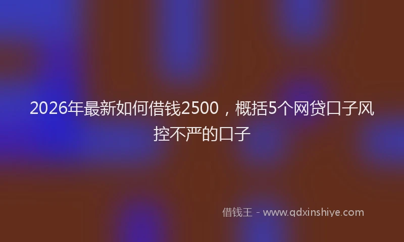 2026年最新如何借钱2500，概括5个网贷口子风控不严的口子