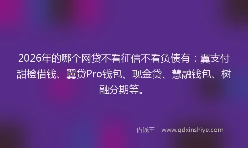 2026年的哪个网贷不看征信不看负债有：翼支付甜橙借钱、翼贷Pro钱包、现金贷、慧融钱包、树融分期等。