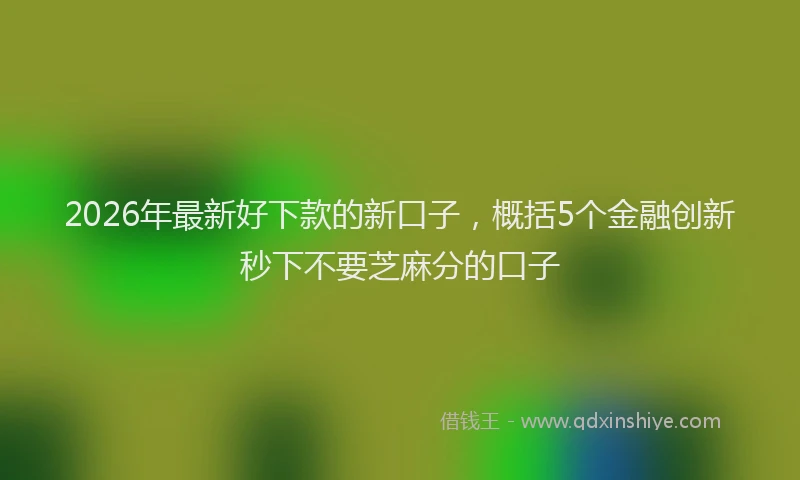 2026年最新好下款的新口子，概括5个金融创新秒下不要芝麻分的口子