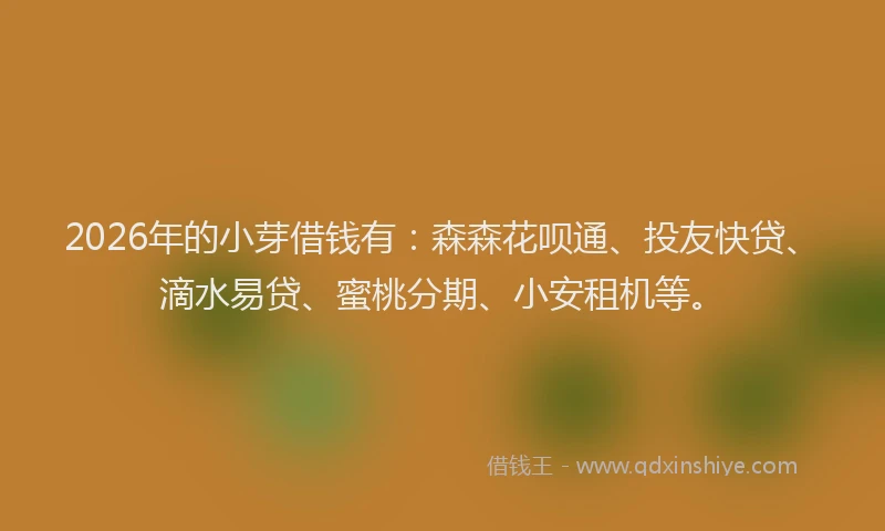2026年的小芽借钱有：森森花呗通、投友快贷、滴水易贷、蜜桃分期、小安租机等。