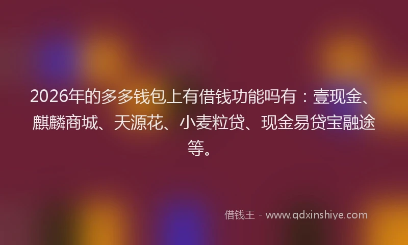 2026年的多多钱包上有借钱功能吗有：壹现金、麒麟商城、天源花、小麦粒贷、现金易贷宝融途等。
