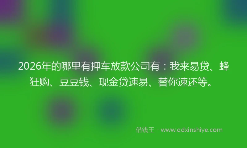 2026年的哪里有押车放款公司有:我来易贷、蜂狂购、豆豆钱、现金贷速易、替你速还等。