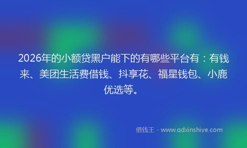 2026年的小额贷黑户能下的有哪些平台有：有钱来、美团生活费借钱、抖享花、福星钱包、小鹿优选等。