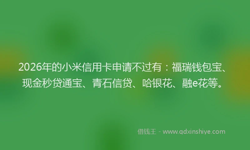 2026年的小米信用卡申请不过有：福瑞钱包宝、现金秒贷通宝、青石信贷、哈银花、融e花等。