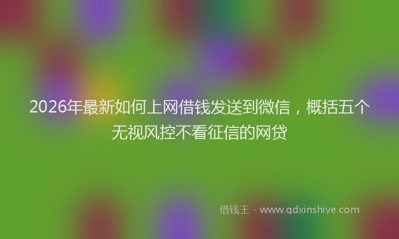 2026年最新如何上网借钱发送到微信，概括五个无视风控不看征信的网贷