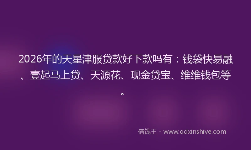 2026年的天星津服贷款好下款吗有：钱袋快易融、壹起马上贷、天源花、现金贷宝、维维钱包等。