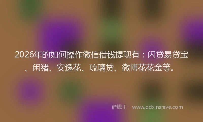 2026年的如何操作微信借钱提现有：闪贷易贷宝、闲猪、安逸花、琉璃贷、微博花花金等。