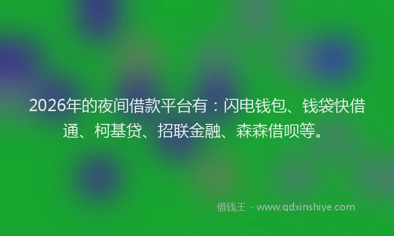 2026年的夜间借款平台有:闪电钱包、钱袋快借通、柯基贷、招联金融、森森借呗等。
