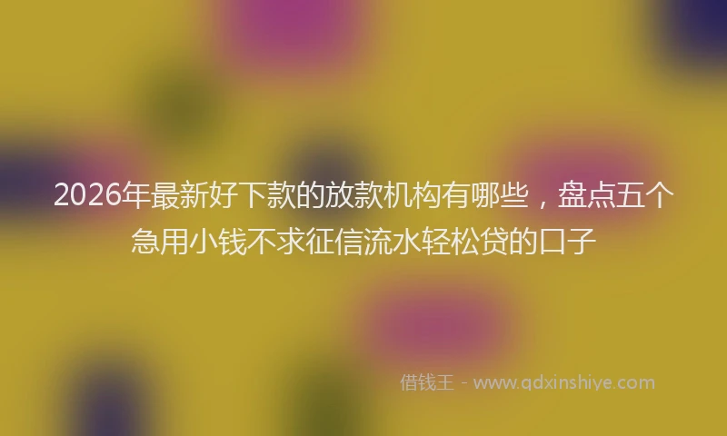 2026年最新好下款的放款机构有哪些，盘点五个急用小钱不求征信流水轻松贷的口子