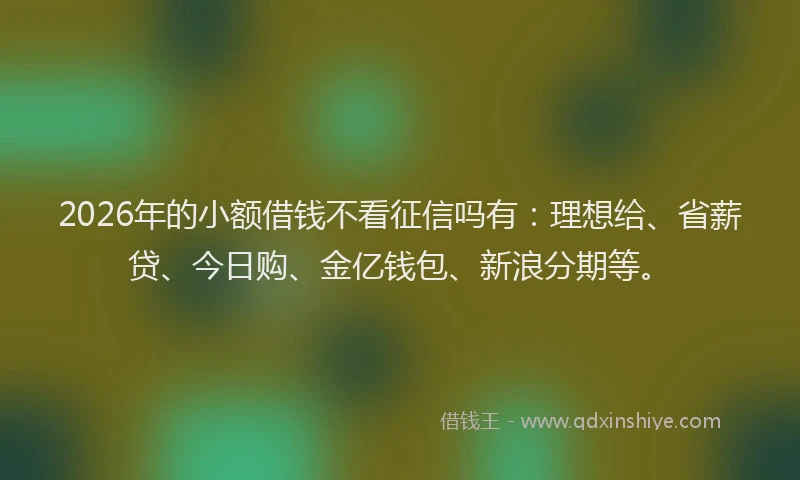 2026年的小额借钱不看征信吗有：理想给、省薪贷、今日购、金亿钱包、新浪分期等。