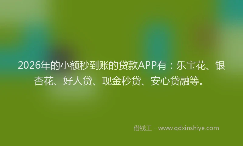 2026年的小额秒到账的贷款APP有：乐宝花、银杏花、好人贷、现金秒贷、安心贷融等。