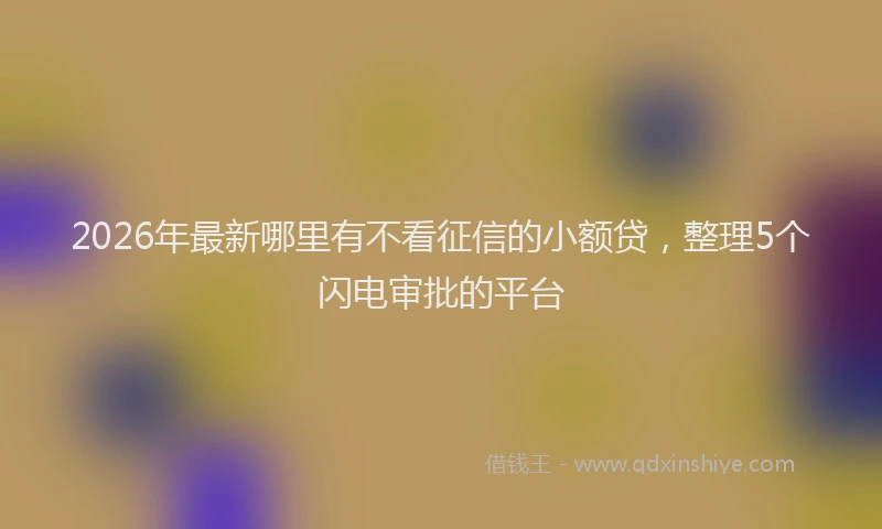 2026年最新哪里有不看征信的小额贷，整理5个闪电审批的平台