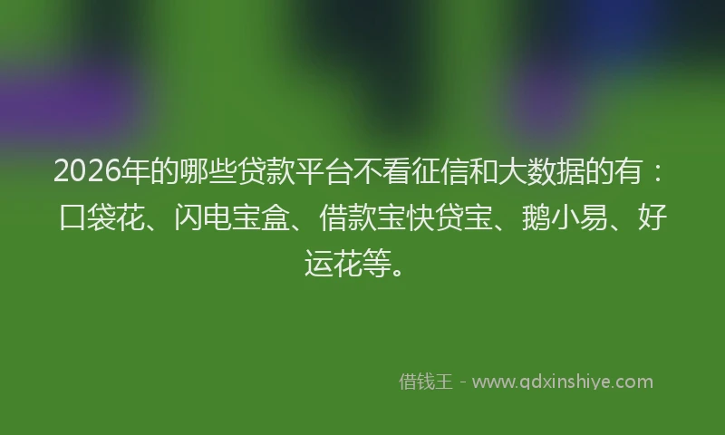 2026年的哪些贷款平台不看征信和大数据的有：口袋花、闪电宝盒、借款宝快贷宝、鹅小易、好运花等。