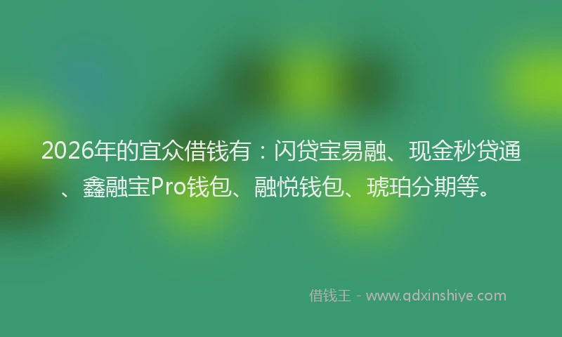 2026年的宜众借钱有：闪贷宝易融、现金秒贷通、鑫融宝Pro钱包、融悦钱包、琥珀分期等。